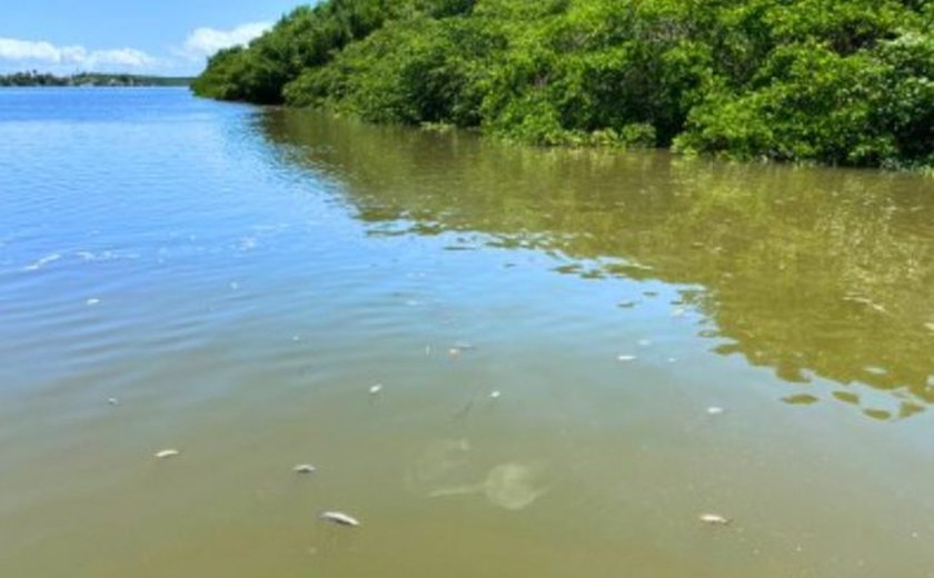 Audiência pública irá debater mortandade de peixes no rio Santo Antônio