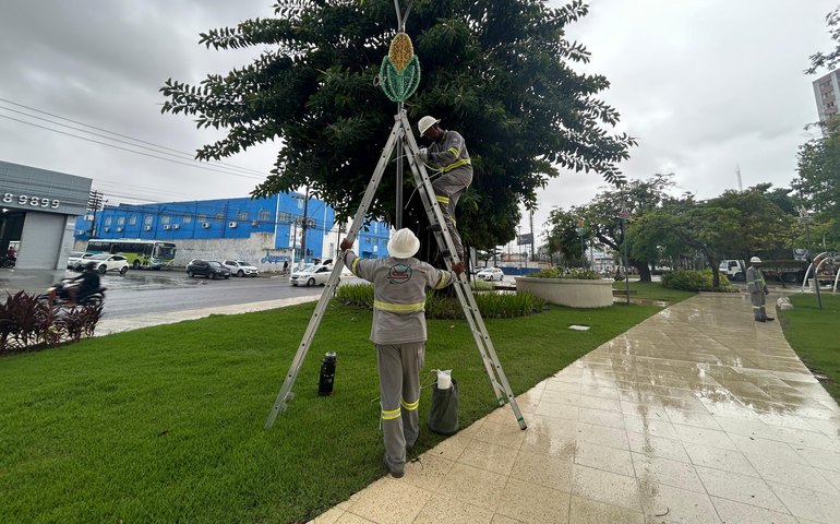 Ilumina Maceió inicia montagem da Vila de São João no Parque do Centenário