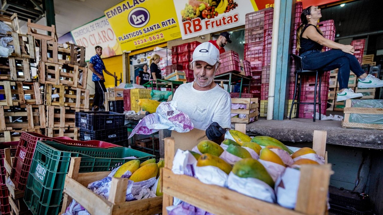 Tentativa de barrar alta dos alimentos é inútil, diz economista: 'Foge ao controle do governo'