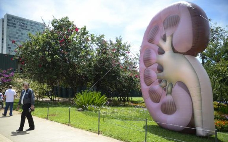 No Dia Mundial do Rim, campanha orienta sobre doenças