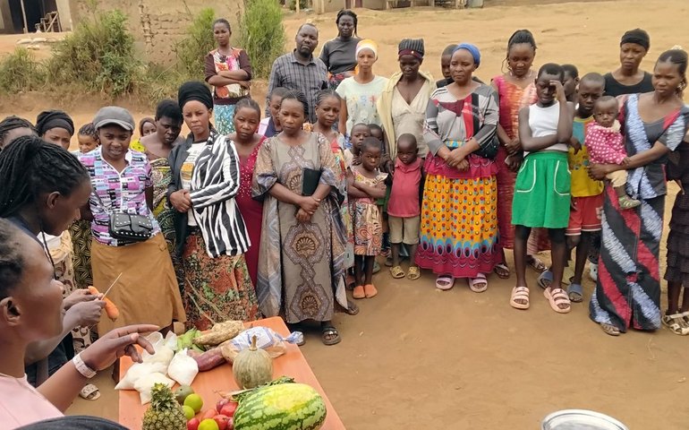 Projeto estimula criação de insetos como fonte de proteína na Uganda