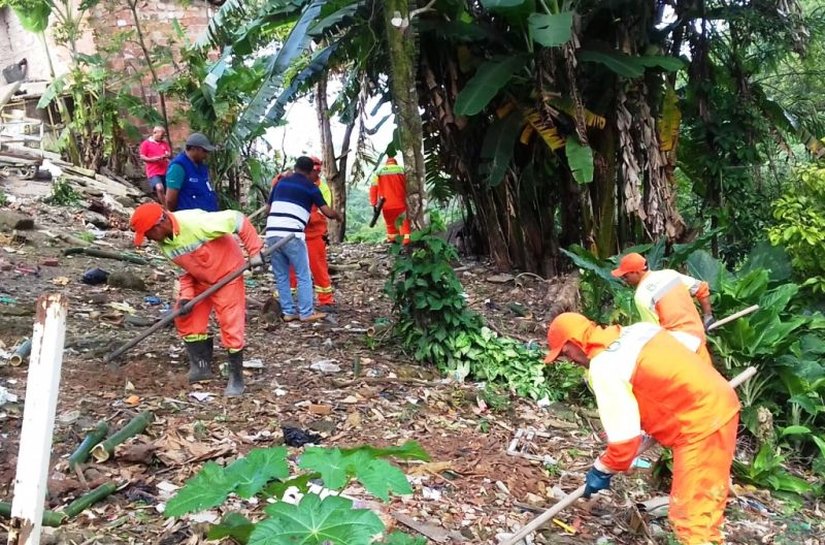 Prefeitura realiza reflorestamento em encostas da capital alagoana