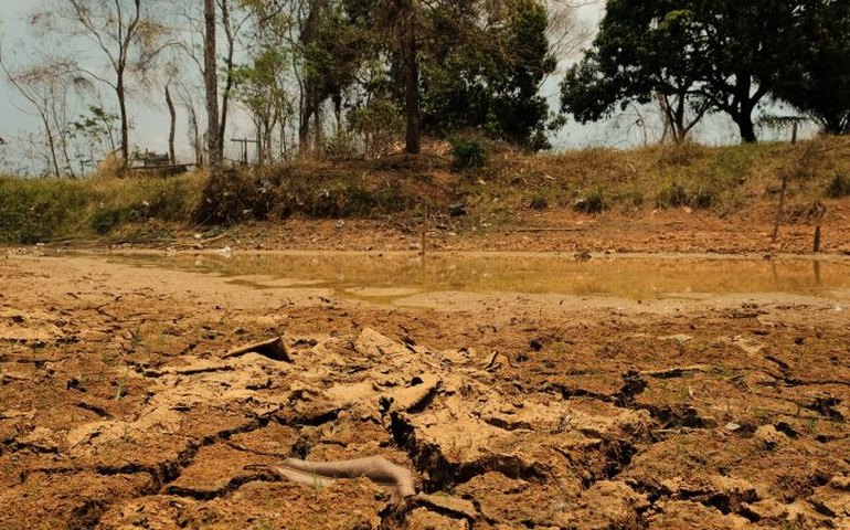 Comissão debate sociobioeconomia, desafios do equilíbrio climático e produção de alimentos saudáveis