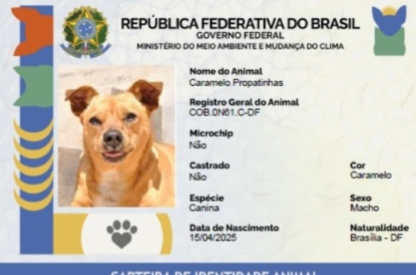 Secdef fará emissão de RG Animal para cães e gatos durante Pet Cidadão nesta quarta (28)