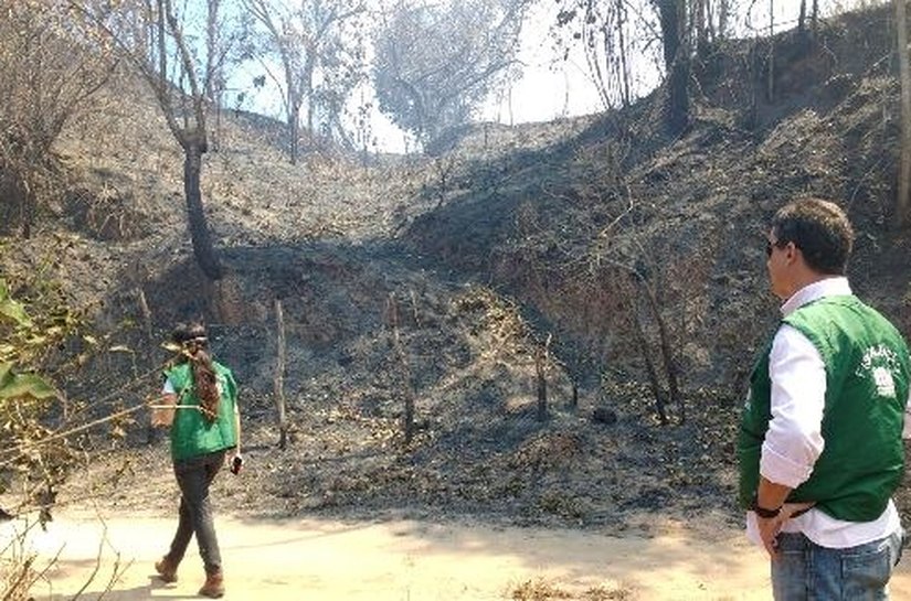 IMA vistoria nova área impactada por incêndio em estoque da Granbio