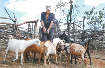 Economia do Sertão se fortalece com liberação de R$ 1,2 milhão pelo governo