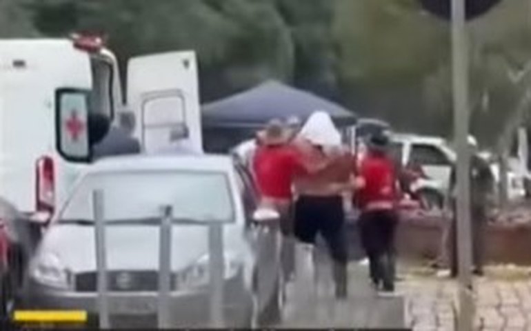 Ataque de abelhas deixa pessoas feridas e dois cavalos mortos em evento no RS