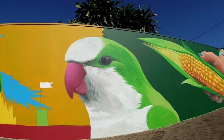 80 metros de arte, história, conexão e apoio local