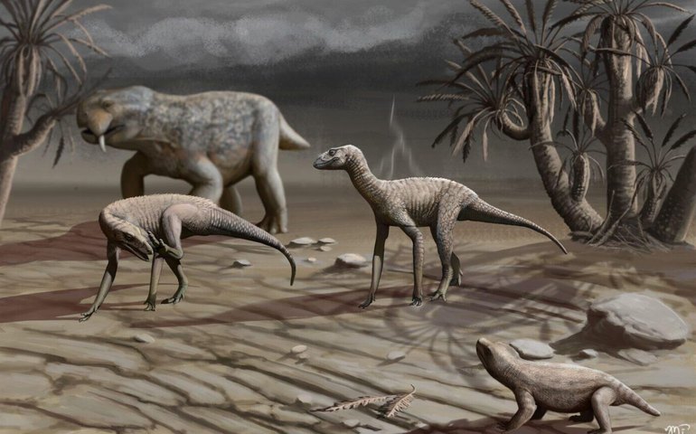 Estudo revela ligação entre extinção dos dinossauros e aparência dos rios como conhecemos hoje