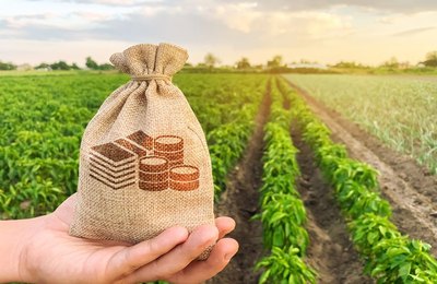 Colonização Agropecuária de Penedo realiza 1º Circuito Agro Coopenedo com apoio da administração municipal