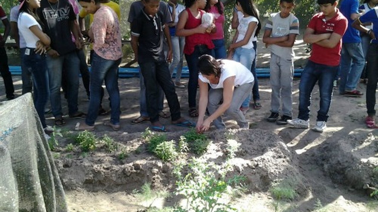 Arapiraca: Estudantes manipulam medicamentos caseiros na Escola do Campo