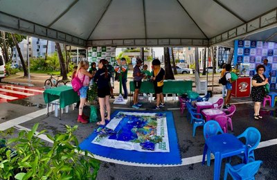 Dia Mundial do Meio Ambiente: Alagoas avança com pautas de proteção ambiental