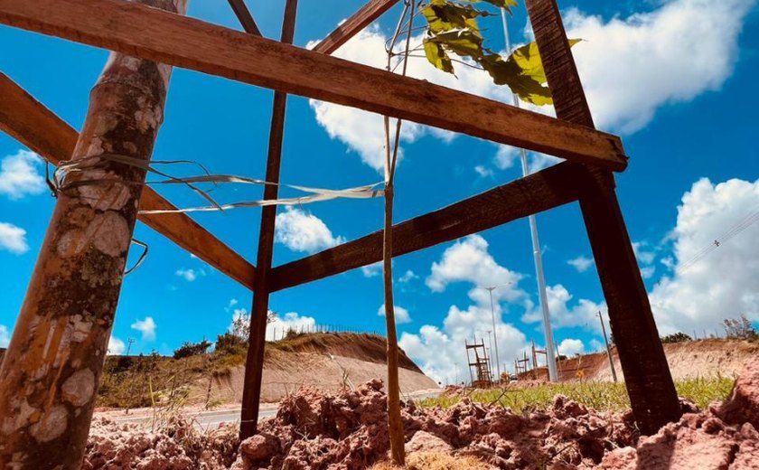 Alurb conclui plantio de mudas de árvores nativas no canteiro da Via da Integração