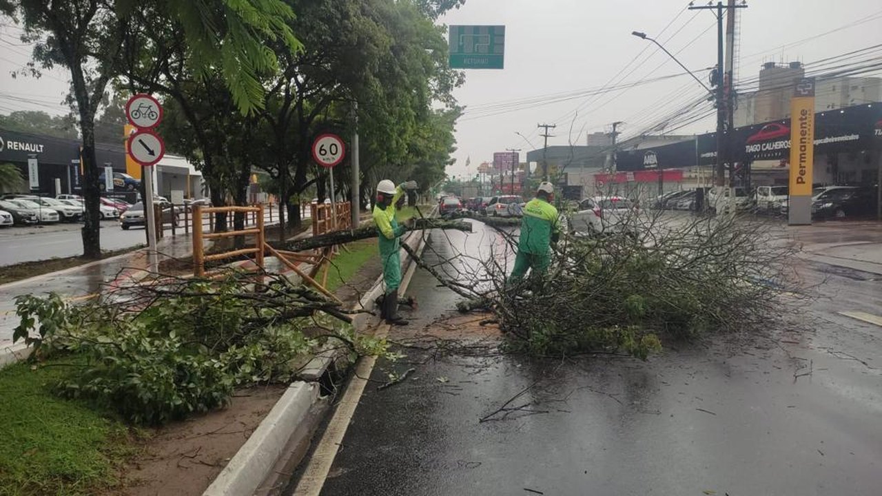 Prefeitura de Maceió intensifica poda de árvores em toda a capital