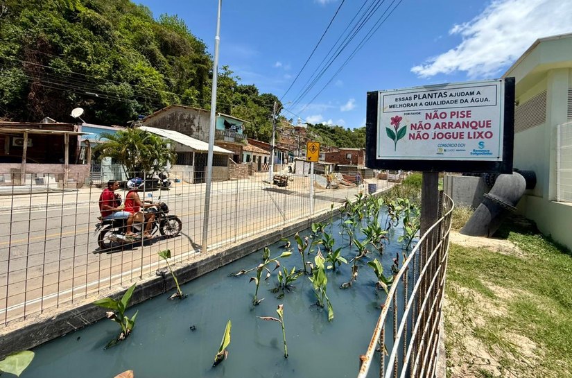 Renasce Salgadinho promove transformação social em Maceió: “Mudança saiu do papel”