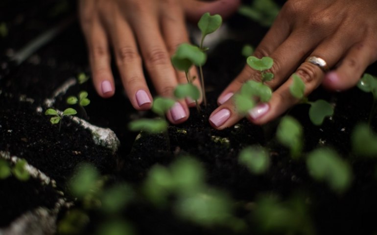 Braskem promove mutirões de voluntariado em AL