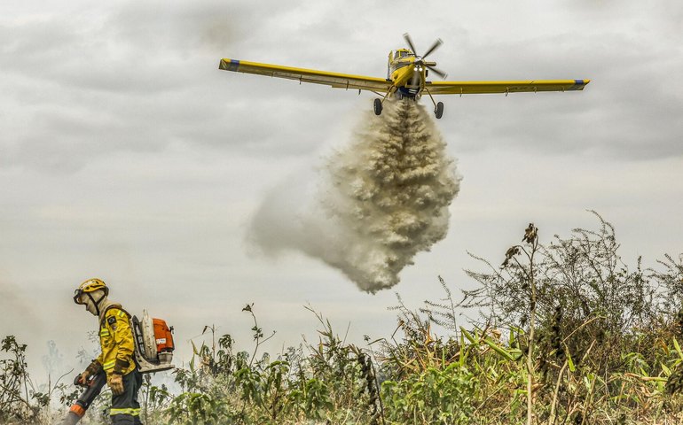 Trump suspende financiamento da USAID para combater incêndios florestais no Brasil