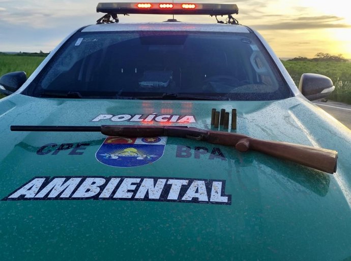 PM-AL apreende arma, aves silvestres e redes de pesca predatória no interior