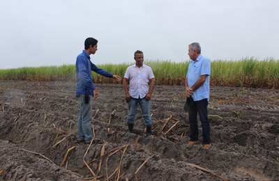 Plantio de inverno na Pindorama deve alcançar 2300 hectares  