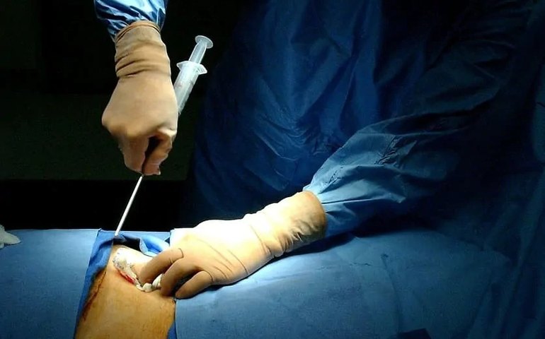 CSE participa de campanha de doação de medula óssea