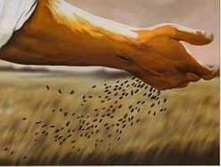 Semear o evangelho