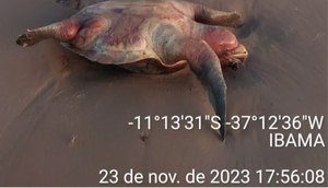 PF, Marinha e Ibama fazem patrulhamento marítimo para combater pesca predatória em SE