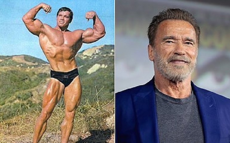 Schwarzenegger estreia em série de comédia de ação da Netflix