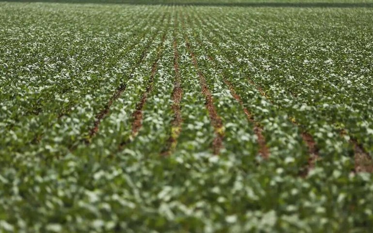 Parceria entre BNDES e governo da Bahia destina R$ 299 milhões à agricultura familiar no semiárido