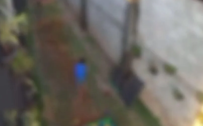 Por que a criança que matou animais em hospital veterinário no Paraná não pode ser punida?