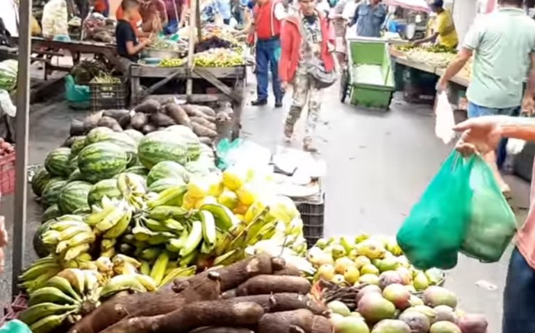 Feiras livres de Palmeira terão novas regras a partir desta quarta (29)