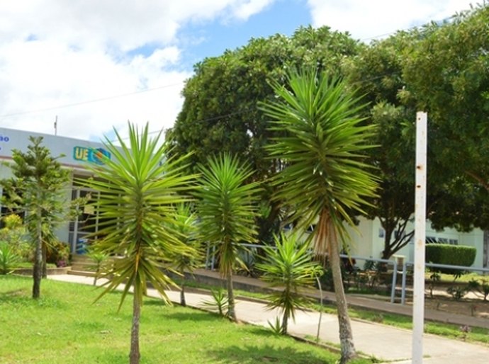 Grupo de Trabalho de Humanização será implantado no Agreste