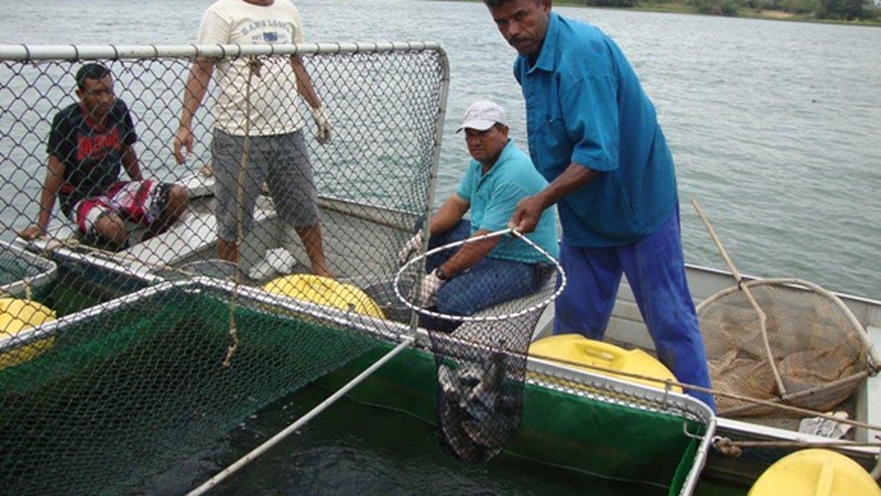 Revitalização da pesca e da aquicultura vai beneficiar mais de 40 mil pescadores