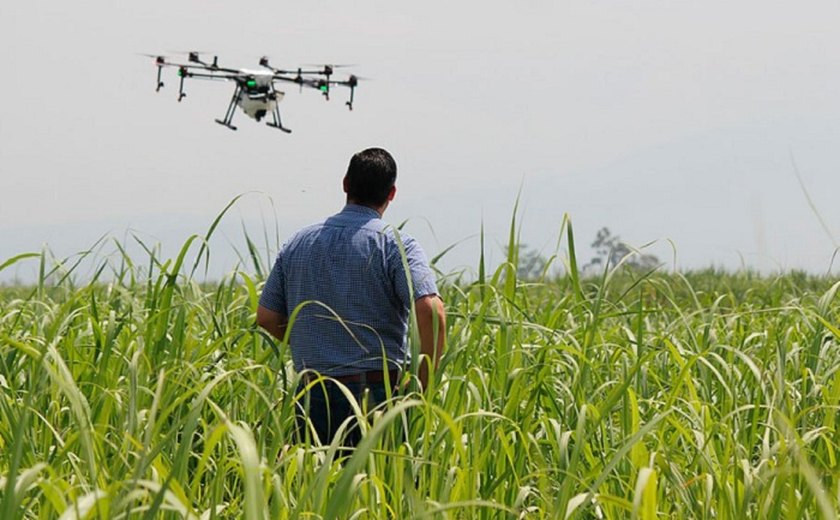 Agricultura sustentável em destaque: as conquistas do mapa em 2023