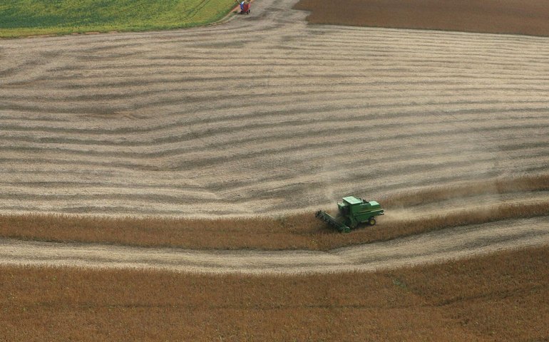 Setor da soja dos EUA diz que manutenção de tarifas contra a China provocará falências