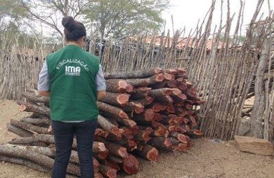Fiscalização flagra desmatamento em Girau do Ponciano