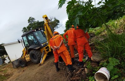 Serviços Públicos de Penedo atende chamado para resgate de animal