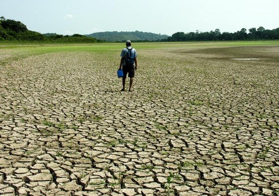 Seca provocou prejuízos à produção cafeeira no Brasil em 2020