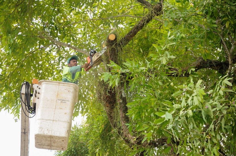 Poda no canteiro da Av. Dom Antônio Brandão será iniciada neste sábado