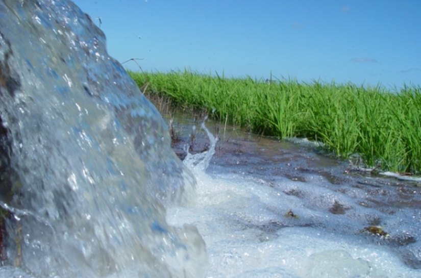 Alagoas busca meios para facilitar cessão de outorgas