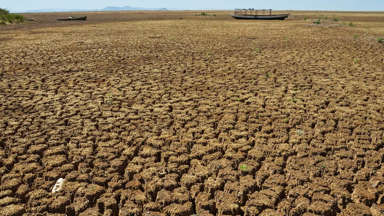 Seca do tamanho da Jamaica: o que pode ser feito?
