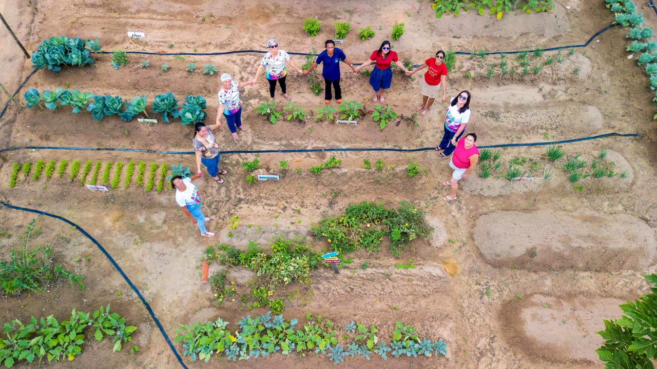 Hortas Urbanas unem a alimentação saudável ao combate à fome em Alagoas