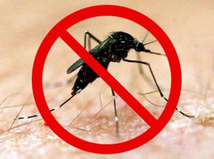 Prefeitura de Maceió encabeça mutirão de combate ao Aedes aegypti