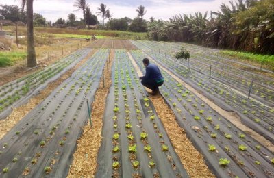 Prefeitura de Arapiraca solicita à Codevasf recursos para projetos de apoio e inovação à Agricultura Familiar