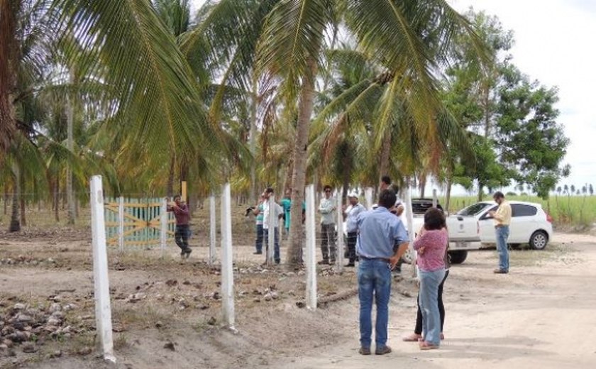 Parceria coqueirais  projeto para revitalização dos coqueirais em AL