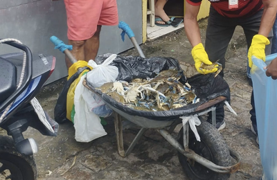 Após várias advertências, Prefeitura de Penedo apreende pescados impróprios na feira livre