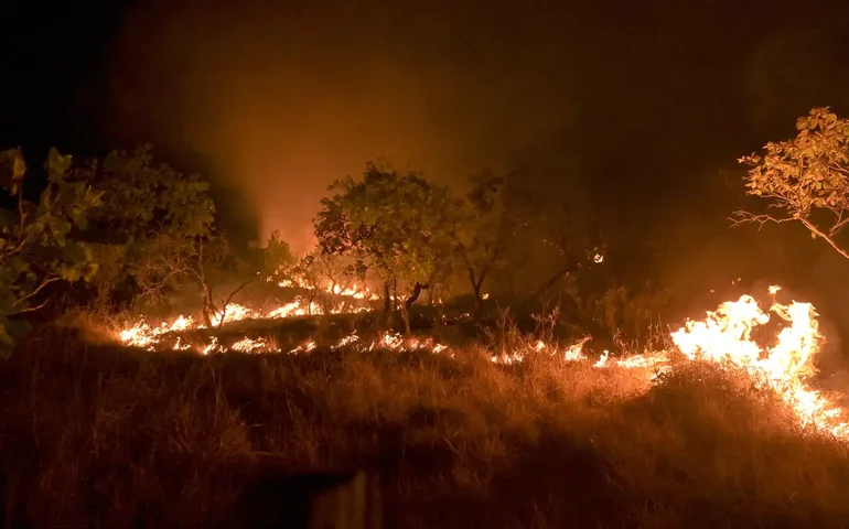 SRB critica possibilidade de confisco de propriedades atingidas por incêndios
