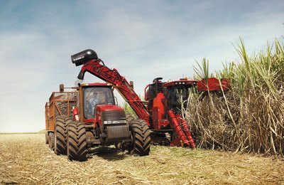 Prejuízo na safra de cana-de-açúcar em Alagoas pode chegar a R$ 1 bilhão