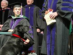 O labrador Skeeter acompanha sua dona, Amy Jones, durante formatura
