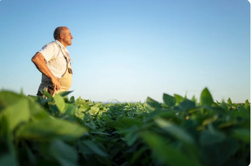 Estratégico para alimentar o mundo, fertilizante também ajuda a preservar o meio ambiente