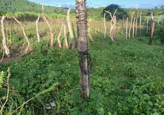 MPF cobra urgência na readequação da rede elétrica em aldeia indígena de Palmeira dos Índios